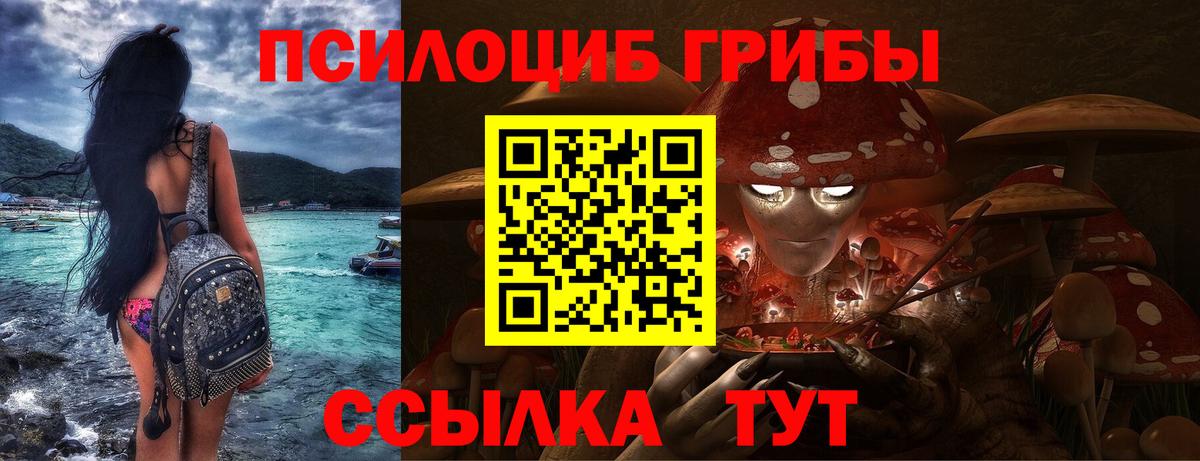 Галлюциногенные грибы Cubensis Обнинск