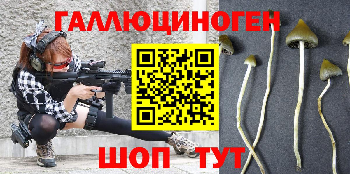 Обнинск  Галлюциногенные грибы MAGIC MUSHROOMS  Вход с VPN 